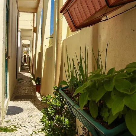 Διαμέρισμα Castelo Sao Jorge-graca -apartments *