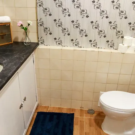 Castelo Sao Jorge-graca -apartments Лиссабон